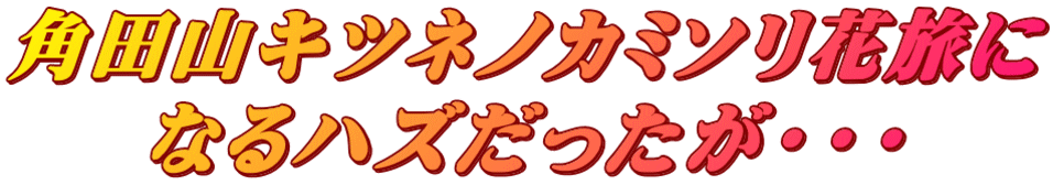 pcRLclmJ~\ԗ ȂnYEEE 