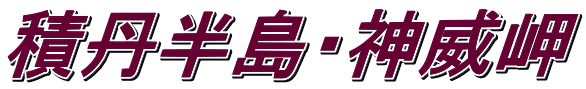 ϒOE_Ж 