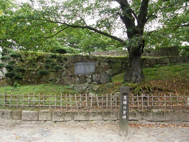 土井晩翠は旧制二校時代取り壊された鶴ヶ城跡を訪れ、名曲｢荒城の月」の作詞のきっかけを得たといいます。