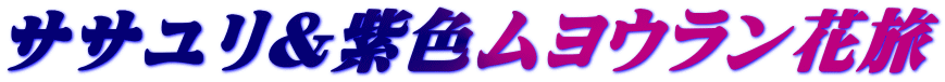 ササユリ＆紫色ムヨウラン花旅 