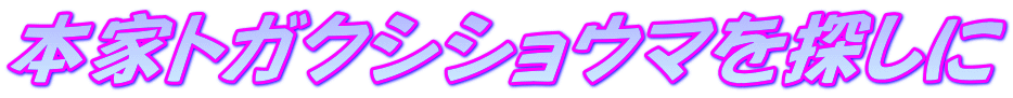 {ƃgKNVVE}T 
